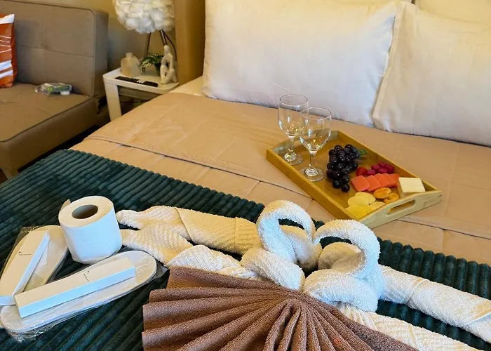 Apartment Cozy Near Venice Mall Netflix Wifi *